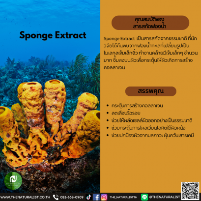 สารสกัดฟองน้ำ - Sponge Extract