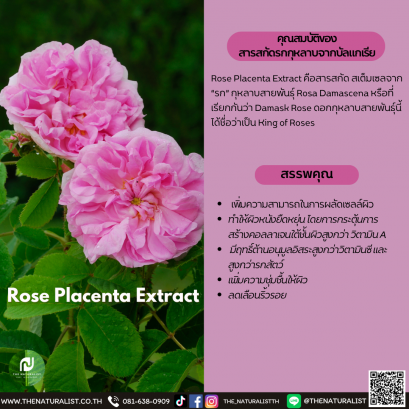 สารสกัดรกกุหลาบจากบัลแกเรีย - Rose Placenta Extract