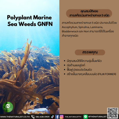 สารสกัดรวมสาหร่ายทะเล 5 ชนิด - Polyplant Marine  Sea Weeds GNFN