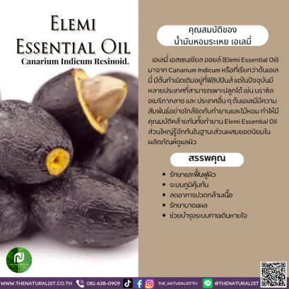 น้ำมันหอมระเหย เอเลมี่ - Elemi Essential Oil
