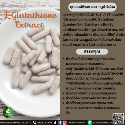 แอล-กลูต้าไธโอน - L-Glutathione Extract