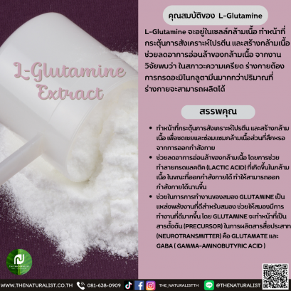 L-Glutamine Extract