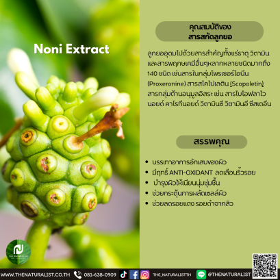 สารสกัดลูกยอ - Noni Extract