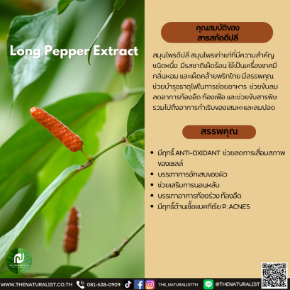 สารสกัดดีปลี - Long Pepper Extract