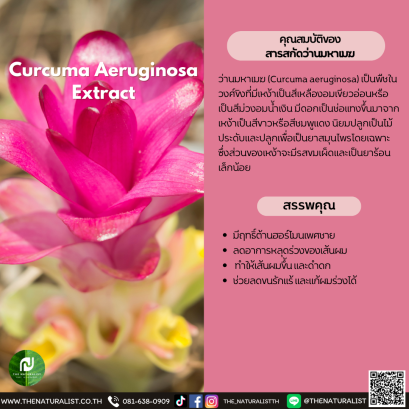 สารสกัดว่านมหาเมฆ - Curcuma Aeruginosa Extract
