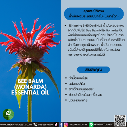 น้ำมันหอมระเหยบีบาล์ม  - BEE BALM (MONARDA) ESSENTIAL OIL