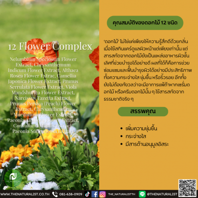 ดอกไม้ 12 ชนิด - 12 Flower Complex