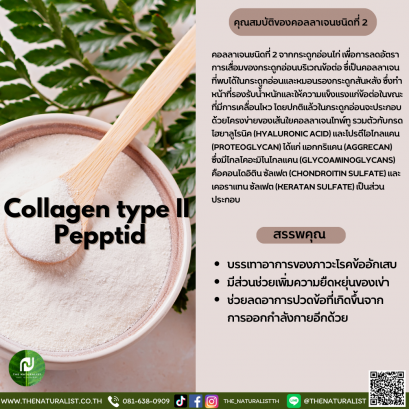 คอลลาเจนชนิดที่ 2 - Collagen type II Pepptid