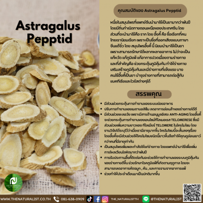 สารสกัดจากอึ่งคี้ - Astragalus Pepptid