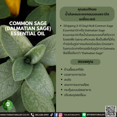 น้ำมันหอมระเหยคอมมอนเซจ) - COMMON SAGE ESSENTIAL OIL