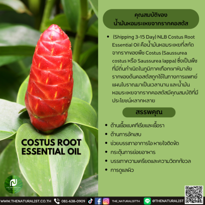 น้ำมันหอมระเหยจากรากคอสตัส - COSTUS ROOT ESSENTIAL OIL