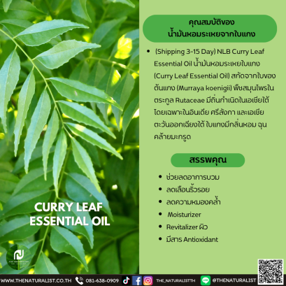 น้ำมันหอมระเหยจากใบแกง-CURRY LEAF  ESSENTIAL OIL