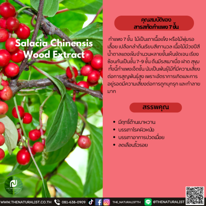 สารสกัดกำแพง 7 ชั้น - Salacia Chinensis Wood Extract