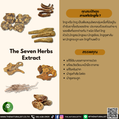 สารสกัดโกฐทั้ง 7 - The Seven Herbs Extract