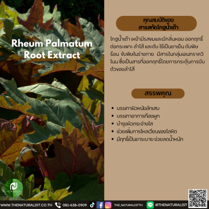 สารสกัดโกฐน้ำเต้า - Rheum Palmatum Root Extract