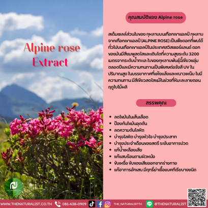กุหลาบจากเทือกเขาแอลป์ - Alpine Rose Extract
