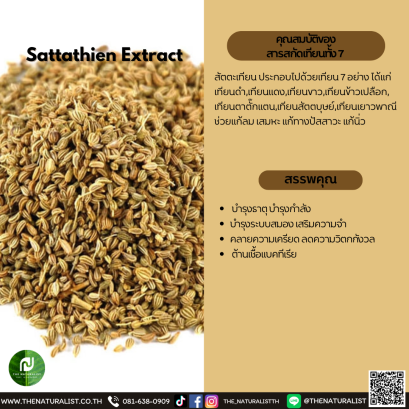 สารสกัดเทียนทั้ง 7 - Sattathien Extract