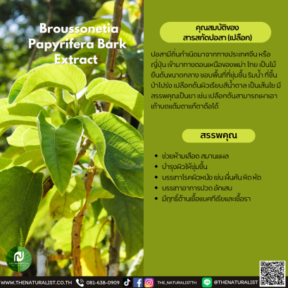 สารสกัดปอสา (เปลือก) - Broussonetia Papyrifera Bark Extract