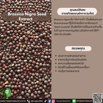 สารสกัดพรรณผักกาด (เมล็ด) - Brassica Nigra Seed Extract