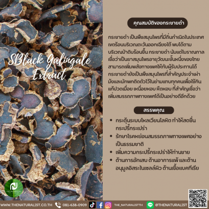 สารสกัดจากกระชายดำ - Black Galingale Extract