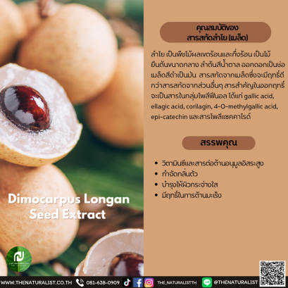 สารสกัดลำไย (เมล็ด) - Dimocarpus Longan Seed Extract