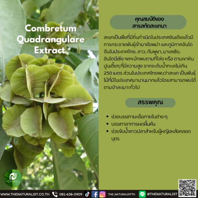 สารสกัดสะแกนา - Combretum Quadrangulare Extract