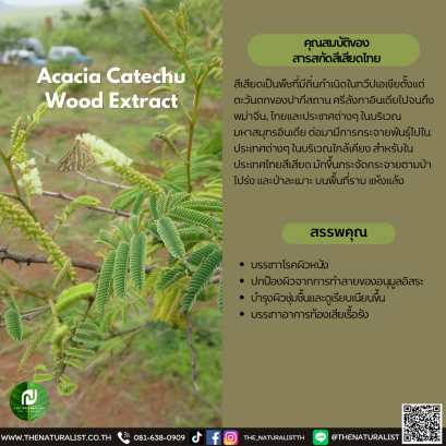 สารสกัดสีเสียดไทย - Acacia Catechu  Wood Extract