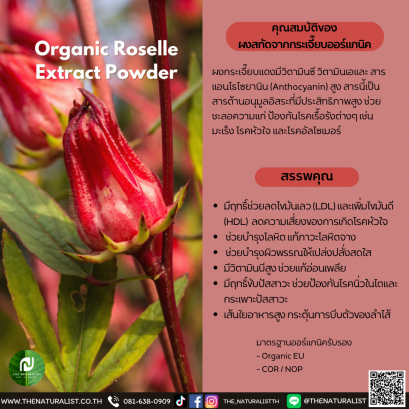 ผงสกัดจากกระเจี๊ยบออร์แกนิค - Organic Roselle  Extract Powder