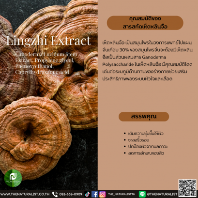 สารสกัดเห็ดหลินจือ - Lingzhi / Reishi Extract