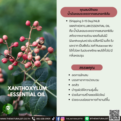 น้ำมันหอมระเหยจากแซนทอกซิลัม-XANTHOXYLUM  ESSENTIAL OIL