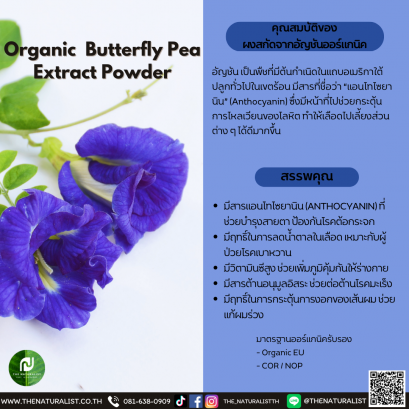 ผงสกัดจากอัญชันออร์แกนิค - Organic  Butterfly Pea Extract Powder