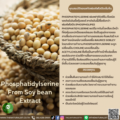 สารสกัดฟอสโฟไลปิด - Phosphatidylserine From Soy Bean Extract
