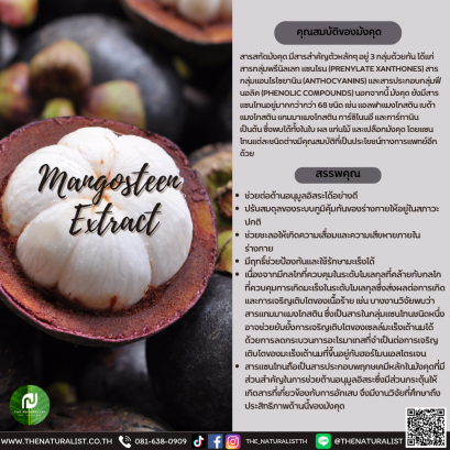 สารสกัดจากมังคุด - Mangosteen Extract