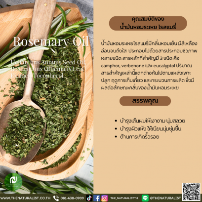 น้ำมันหอมระเหย โรสแมรี่ - Rosemary Oil