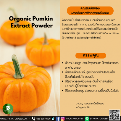ผงสกัดจากฟักทองออร์แกนิค - Organic Pumpkin  Extract Powder