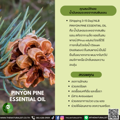 น้ำมันหอมระเหยจากสนพินยอน-PINYON PINE ESSENTIAL OIL