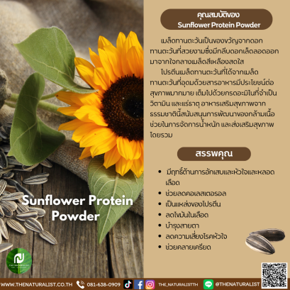 ผงโปรตีนทานตะวัน - Sunflower Protein Powder