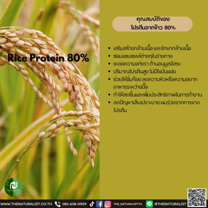 โปรตีนจากข้าว 80% - Rice Protein 80%