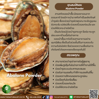 สารสกัดหอยเป๋าฮื้อ - Abalone Powder