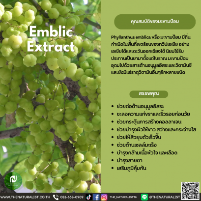 มะขามป้อม - Emblica Extract / Ma Kham Pom