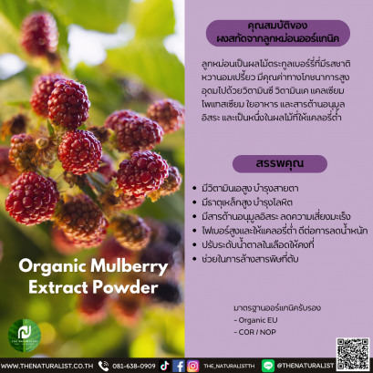 ผงสกัดจากลูกหม่อนออร์แกนิค - Organic Mulberry Extract Powder