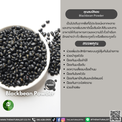 ผงถั่วดำ - Blackbean Powder