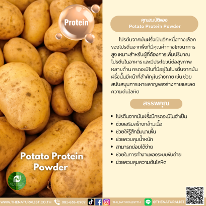 ผงโปรตีนมัน - Potato Protein Powder