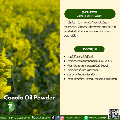 ผงน้ำมันคาโนล่า - Canola Oil Powder