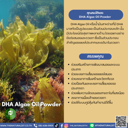 ผงน้ำมันสาหร่าย - DHA Algae Oil Powder