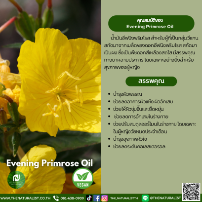 ผงน้ำมันอีฟนิงพริมโรส (วีแกน) - Evening Primrose Oil Powder (Vegan)