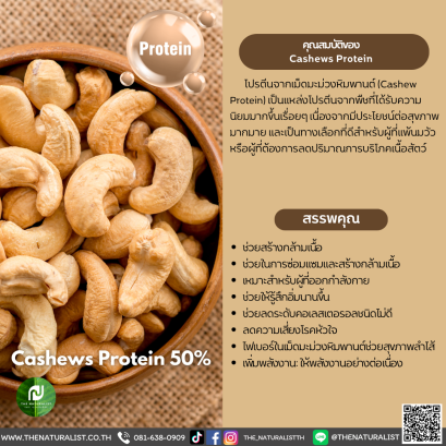 โปรตีนเม็ดมะม่วงหิมพานต์ - Cashews Protein 50%