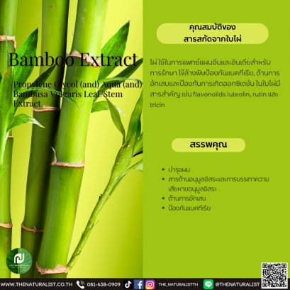 สารสกัดจากใบไผ่ - Bamboo Extract