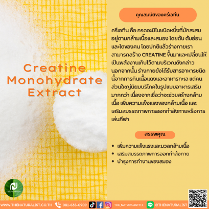 สารสกัดครีเอทีน - Creatine Monohydrate Extract