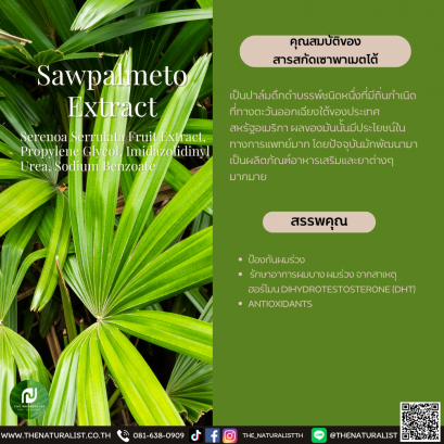 สารสกัดเซาพาเมตโต้ - Sawpalmeto Extract